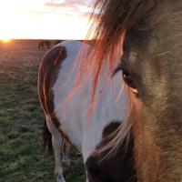 hugoline en fond de solelil