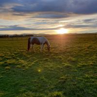 HUGOLINE COUCHER DE SOLEIL