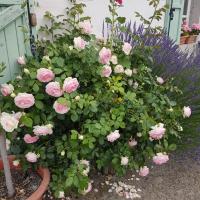 20170626 083017 001 1