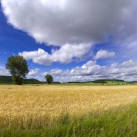 Plateau de haute loire