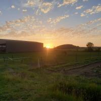 Sockette coucher de soleil